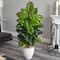 5ft. Large Leaf Philodendron Plant in White Oval Planter
